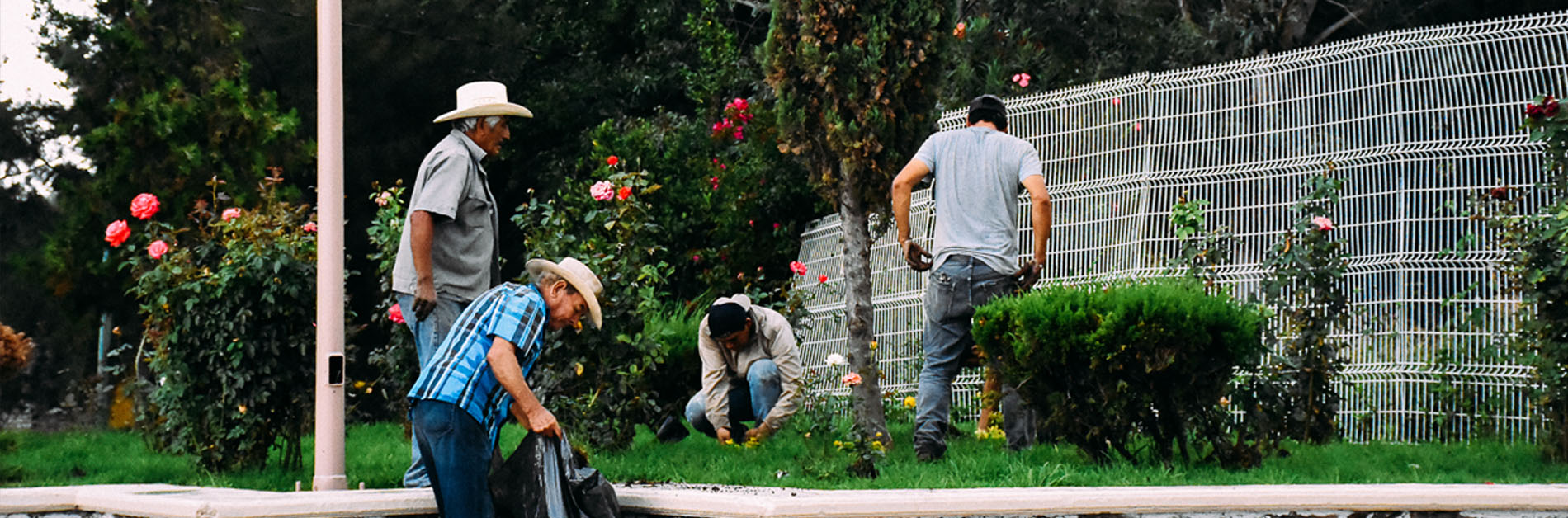 Hombres realizando trabajo de limpieza en una jardinera